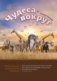 Книга, цветные иллюстрации Чудеса вокруг – фото